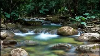 Most Soothing Cascade Waterfall Stream Sound. Waterfall, Nature Sounds, White Noise for Sleeping.