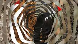 Дятел (стихи Анны Чекуновой)
