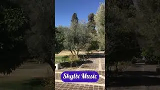 Tranquil Park Walk 🌿 | Stunning Trees & Blue Sky Relaxation Journey