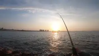 Fishing Spanish Mackerel 25.10.2019-2