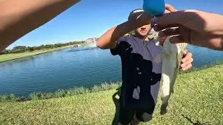 Caught a big bass with a wacky rig.