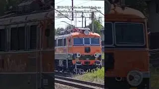 Świnka 😀 @AmbvshMK @kolejarzzmalopolski #kolej #pkp #train #pociagi #fyp #shorts #mikol