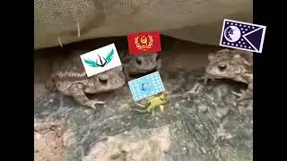 Diplomacy on Equus || EaW Meme