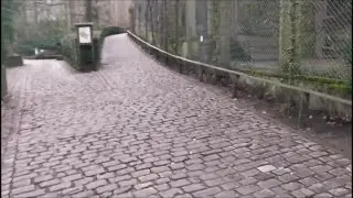 Ein Tierpark-Rundgang von Mr. Unheilig