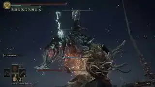 Death Rite Bird Boss Fight (Caelid)