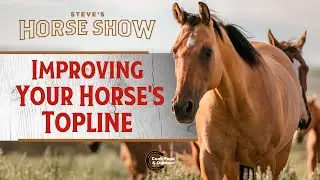 Improving Your Horse's Topline