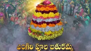 ఎంగిలి పూల బతుకమ్మ శుభాకాంక్షలు/VRO VLOGS OFFICIAL 