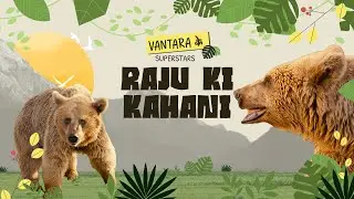Raju The Bear | Vantara ke Superstars