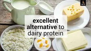 AS-IT-IS Nutrition Soy Protein Isolate