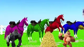 monkey and horse  race 😱