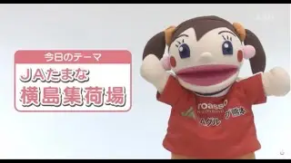 DO YOU のうぎょう？「JAたまな・横島集荷場」（2023年4月28日 O.A.）