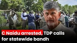 Andhra Pradesh Bandh: Chandrababu Naidu arrested, TDP calls for statewide bandh