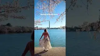 The beauty of spring in DC 💞🌸 #moments #travel #washingtondc #tidalbasin #dc