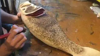 Wood Burning Scales onto a Trophy Largemouth bass Wood carving