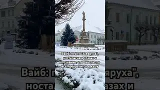 1:0 в пользу зимы #жизньвчехии #мороз #зима2026 #метель #ностальжи