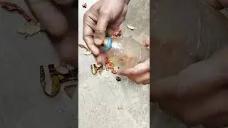 how to make fruit peel fertilizer at home #plants #gardening #fertilizer