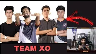 TEAM-XO Domination 💪🔥 | #punk #immortal #teamxo