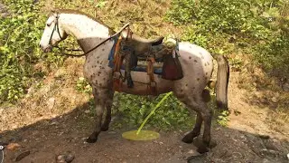 Far Cry 6 - Horses can Pee and Poop