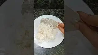 What's on my plate 🤩🍽️@ShinayasWorld | Veg Menu #shorts #shinayasworld #food #youtubeshorts
