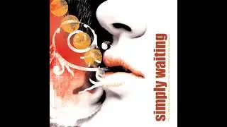 Simply Waiting - The Subtle Dynamics Between the Windshield and the Rearview (2004)