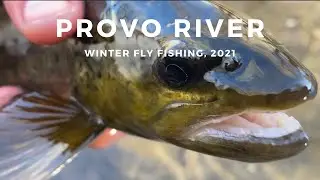 5 Deadly Fly Patterns to Try on the Provo River (in the Fall and Winter)