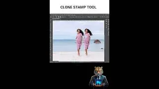 clone stamp tool