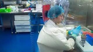 Coronavirus-Ausbruch: Labor in Wuhan weist Anschuldigungen zur&uuml;ck
