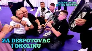 ZA DESPOTOVAC I OKOLINU SVIRKA ZA DUSU / ORK. DZENTLMENI / IVAN / MILAN STRASNI