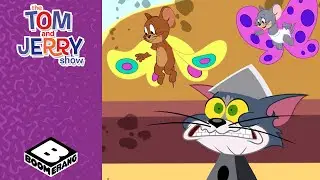 DIY Butterfly Wings Disaster! 🎨🦋| Tom & Jerry Show | Boomerang UK
