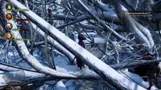 Dragon Age: Inquisition - outside Suledin Keep