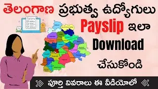 TS Employee Pay Slip 2022 Download with Salary Certificate at IFMIS || Employee Payslip Telangana