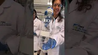 Glass Carboys, Glass Flasks, Glass Bottles from Foxx Life Sciences #labsafety #lab #laboratory