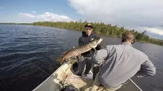 MONSTER Northern Pike Caught in Southern Manitoba Canada