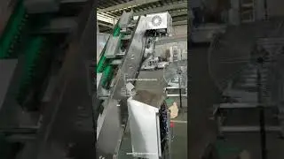 Customized special bucket chain conveyor feeding machine chain feeding conveyor