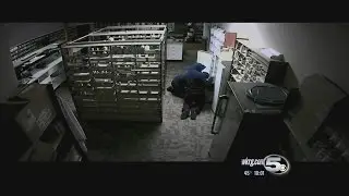 CAUGHT ON VIDEO: Burglars Hit Pharmacy