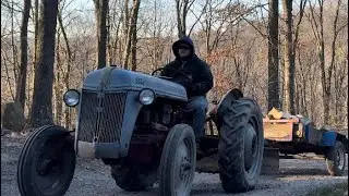 Turbo ford 8n cold start and hauling firewood