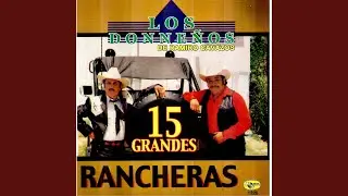 Hace un Año