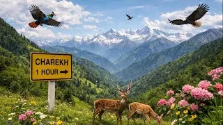 Charekh Uttarakhand | Hidden & Less Crowded Hill Destination Near Delhi NCR
