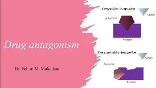 Drug Antagonism