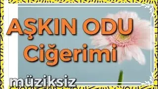 Aşkın Odu Ciğerimi / GÜL BAHÇEM İLAHİLERİ
