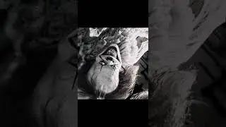 Scary Joker #joker #shorts #creepy #sound #ghosthouse