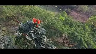 gorponchkot eco resort 2021