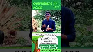 இலக்கை நோக்கித் தொடருகிறேன்  #shorts #christianshorts #meandmyshadow #stalin #christian #goals #life