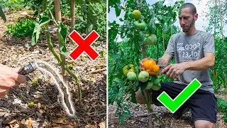 How Much Should I Water My Garden?