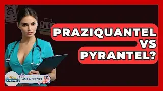 Praziquantel Vs Pyrantel? - Ask A Pet Vet