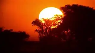 Psyonysus &ndash; Exit Samsara [ Video 4K ]