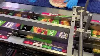 Nordale Cartoner For Pizza