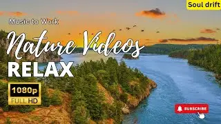 Nature and Piano Harmony | Serene Music for Stress Relief, Sleep & Inner Calm