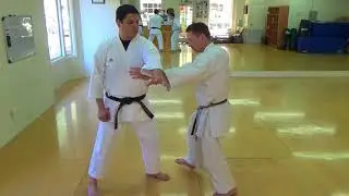 Saifa Excerpt - Kihon Bunkai