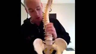 Bone Motion in the Lumbar Spine - Intrinsi Osteopathy
